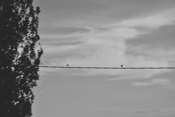 576_1414438357IMG_4599