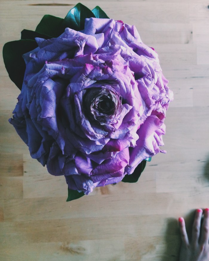 Processed with VSCOcam with c1 preset