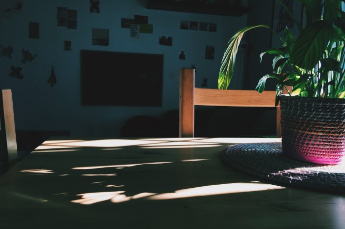 Processed with VSCOcam with c1 preset