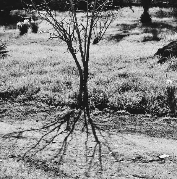 Captura de pantalla 2015-03-10 a les 12.52.32