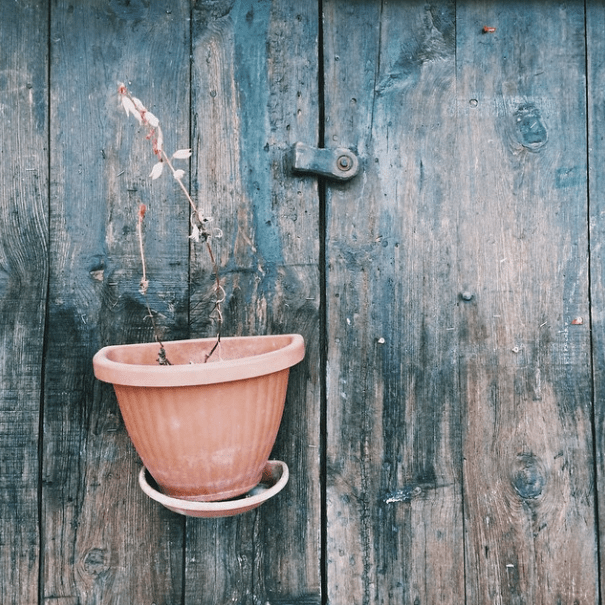 Captura de pantalla 2015-03-12 a les 10.17.55