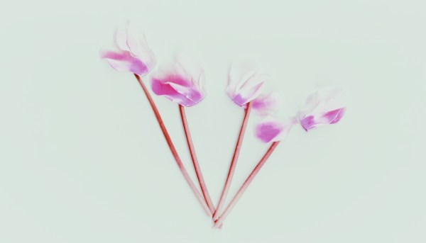 Processed with VSCOcam with p5 preset