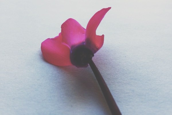 Processed with VSCOcam with t1 preset