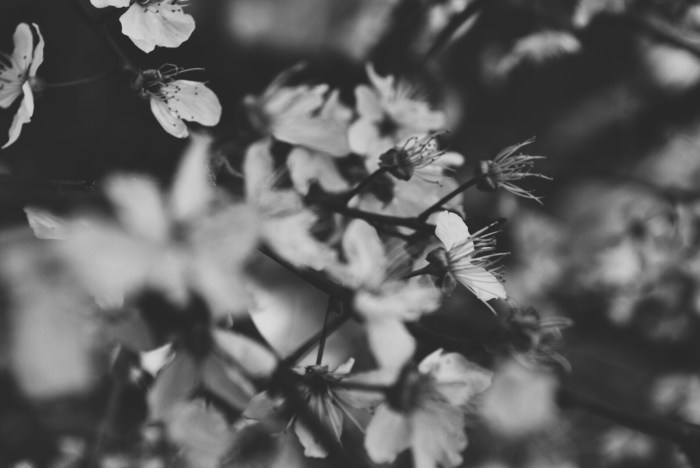 Processed with VSCOcam with b5 preset