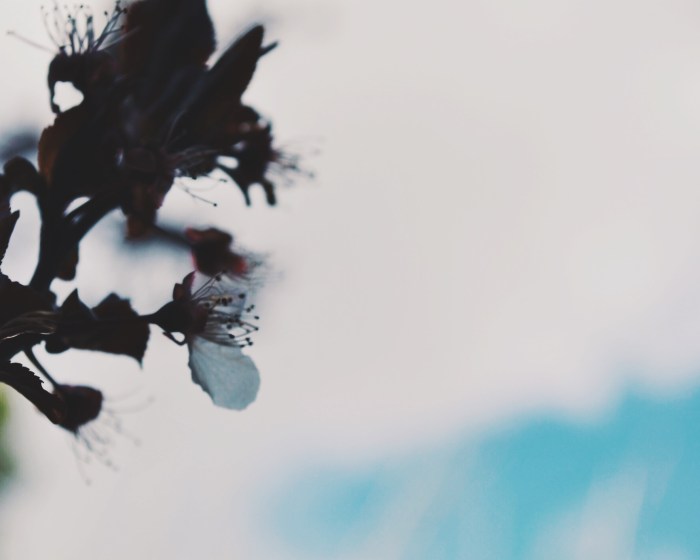 Processed with VSCOcam with g3 preset