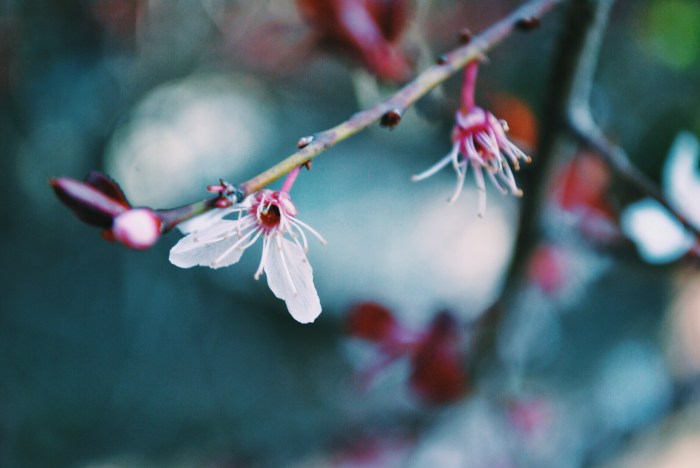 Processed with VSCOcam with c1 preset