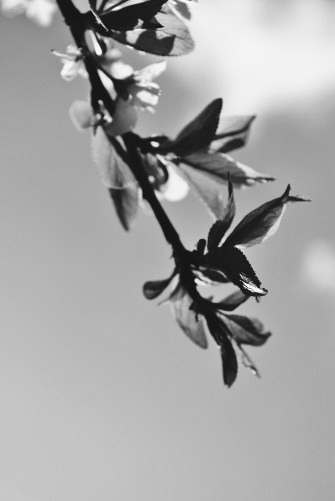 Processed with VSCOcam with b5 preset