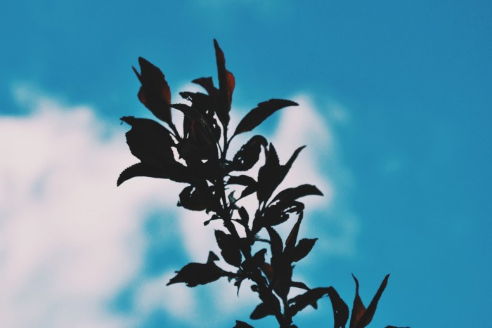 Processed with VSCOcam with c1 preset