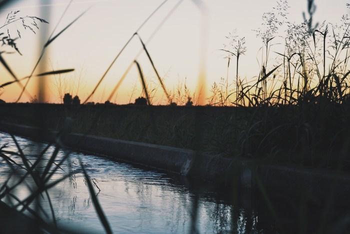 Processed with VSCO with g3 preset