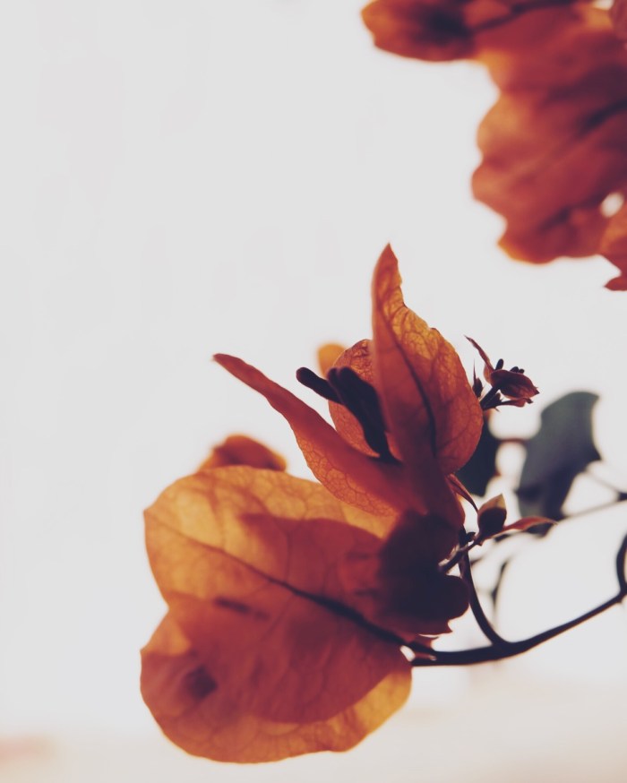 Processed with VSCO with a5 preset