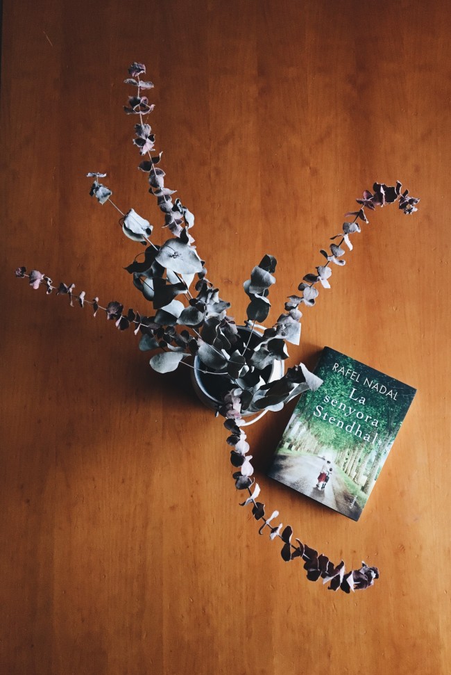 650_1485296236img_8869