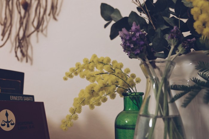 Processed with VSCO with a5 preset