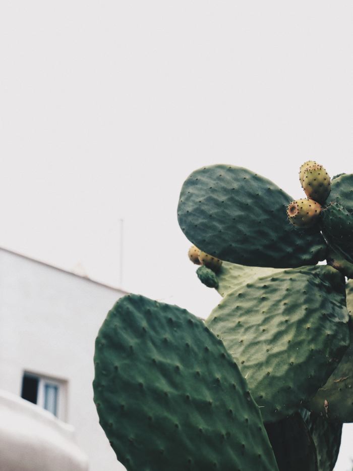 Photo taken with Focos Processed with VSCO with hb2 preset