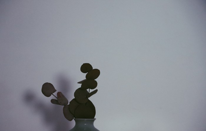 Processed with VSCO with p5 preset