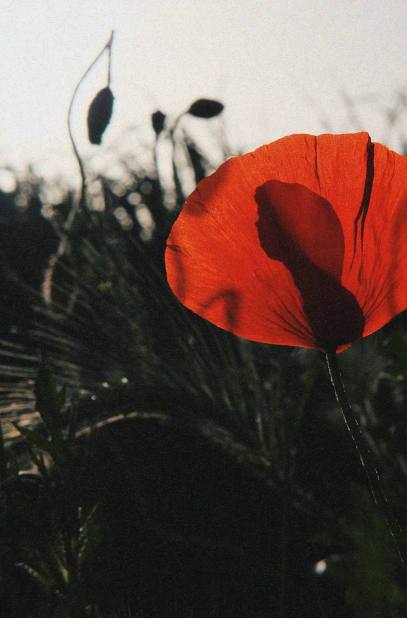 photo_2022-05-18_16-31-48